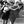 Clases baile bachata en Malaga