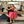 Salsa baile canciones en Malaga